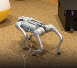 ROBODOG logo