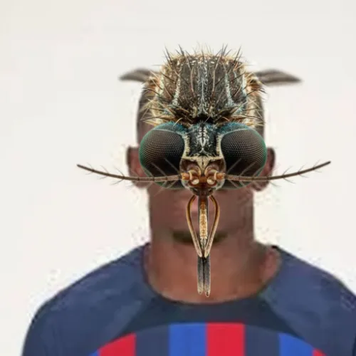 The Mosquito